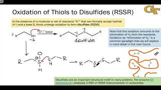 0303 Oxidation Reactions of Thiols [upl. by Fox]