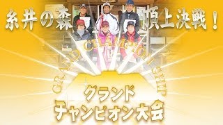 2013年 頂上決戦・グランドチャンピオン大会／糸井の森パークゴルフ [upl. by Yatnoj]