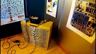 Fender Bassman  Kinder AFB  Bluexlab mic  Easyharp recensioni  Armonica blues [upl. by Aerahs]