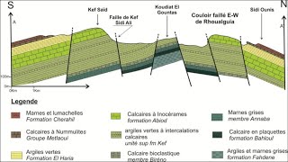 Réalisation dune coupe géologique en structure complexe  faillé [upl. by Hsemin848]