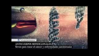 Anticuerpos monoclonales [upl. by Benjamen]