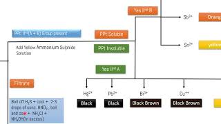 B 2 Separation of Cations [upl. by Obaza]