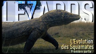 LEvolution des Lézards Squamates 12 [upl. by Airotnes]