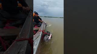 ҚҰТҚАРУ ЖҰМЫСТАРЫ life horse stallions nature fishing жизнь ат villagelife атырау [upl. by Yasmar]