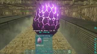 Ark  Aberration  Hatching a Rock Drake egg with 24 air conditioners on official server [upl. by Agee]