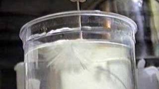 Sodium Sulfate Anhydrous Crystal Growing [upl. by Naihtsirc755]