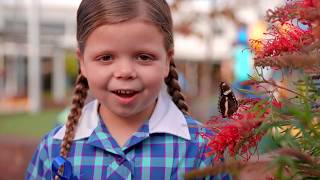 Welcome to Baringa State Primary School  Queenslands First STEM School of Excellence [upl. by Ardy]