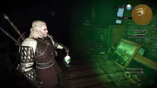 The Witcher 3  A Towerful of Mice Explore Tower Use The Magic Lamp and Find Alexander Lab PS5 40 [upl. by Cave]