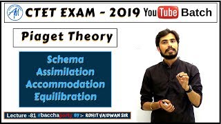 Piaget Theory Schema Assimilation AccommodationEquilibration  CDP CTET 2019 [upl. by Akerahs927]