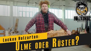 Lockes Holzarten Ulme oder Rüster  Holzkunst Scholz offiziell [upl. by Frydman24]