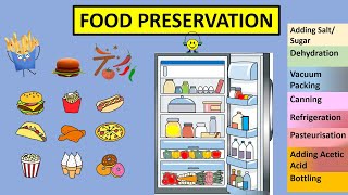 CBSE Class 5 Science Food Preservation [upl. by Burnett]