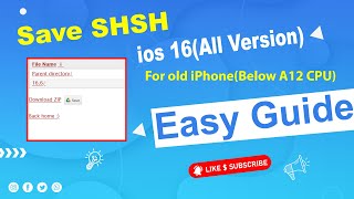 How to Save SHSH Blobs for iOS 16 Easy Guide [upl. by Michale]