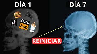 Reprograma tu mente para el éxito Sólo lleva 7 días  Dr Joe Dispenza [upl. by Sivart]