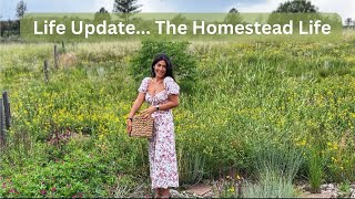 Day In The Life  Homestead Life Update  Plant Based [upl. by Parrott]