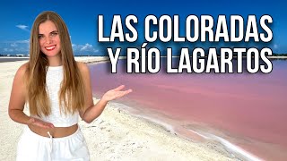 Las COLORADAS y RÍO LAGARTOS Yucatán 😍 MÉXICO [upl. by Acinad173]