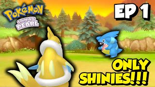 Pokemon Shining Pearl But I Can Only Use SHINY Pokemon Ep 1  Picking a Team of Shinies [upl. by Hafirahs]