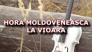 HORA MOLDOVENEASCA LA VIOARA [upl. by Jackson]