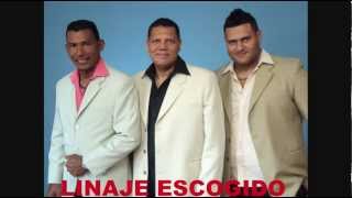 LINAJE ESCOGIDO VALLENATO  CAMBIO MI VIDA [upl. by Ahsimac]