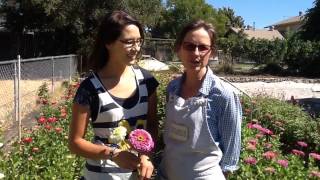 Verbena Flower Farm [upl. by Neelyahs590]