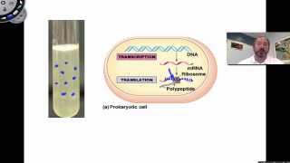 Cracking the Genetic Code [upl. by Saberio]