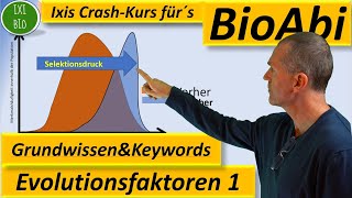 Evolution 1 Evolutionsfaktoren  Grundwissen  Übersicht  Training Wortschatz Keywords BioAbi [upl. by Nneb]