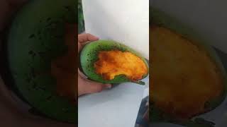 Because of carelessness this mango was eaten by bats mangga mango fruitshorts fruit food [upl. by Aihsyt]