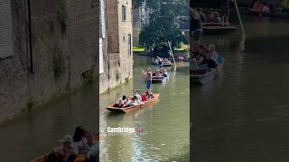 Cambridge summer punting punting [upl. by Llireva]