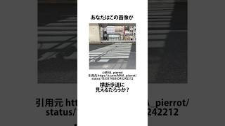 横断歩道みたいな道路の影に関するうんちく x shortsfeed [upl. by Alleras707]