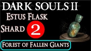 Estus Flask Shard 2  Forest of Fallen Giants  Dark Souls 2 Bone Dust Guide Walkthrough [upl. by Aitam]