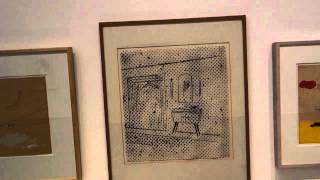 Sigmar Polke quotAlibisquot 19632010 at the MUSEUM of MODERN ART Part I [upl. by Noeled]