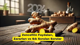 Zencefilin Faydaları Zararları ve Sık Sorulan Sorular 2024 [upl. by Einon]