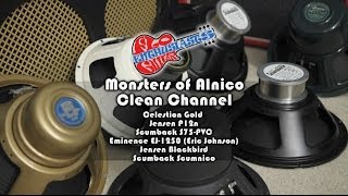 Monsters of Alnico Speaker Shootout Clean Settings Celestion Gold EJ1250 Scumnico Blackbird [upl. by Tse]