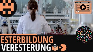 Esterbildung Veresterung│Chemie Lernvideo│Learning Level Up [upl. by Ahset689]