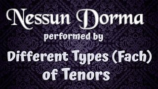 Nessun Dorma  Performed by Different Types Fach Of Tenors [upl. by Magdalen881]