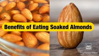 Top 10 Benefits of Eating Soaked Almond Health Benefits of Soaked Almonds  Help in weight Loss [upl. by Atteuqaj862]