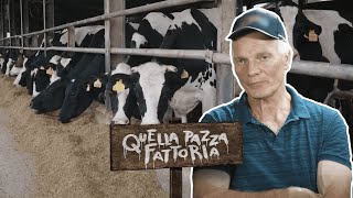 IL VETERINARIO e linseminazione delle mucche  Quella pazza fattoria [upl. by Brainard]