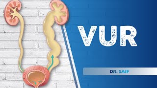 VesicoUreteral Reflux  DR SAIF  LECTURE 3 [upl. by Ragse]