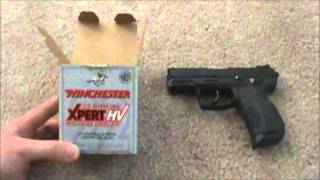 Winchester Xpert 22 ammo review [upl. by Olette]