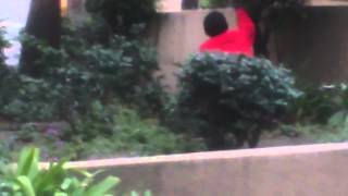 Homeless Man Shits In Public Park Bushes  Downstreet [upl. by Wendalyn]