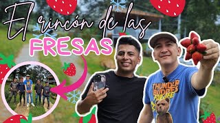 NOS FUIMOS A CORTAR FRESAS HASTA CHALATENANGO CON willywalking [upl. by Niltiak]