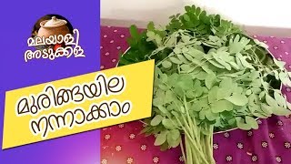 മുരിങ്ങ എളുപ്പം നന്നാക്കാം എളുപ്പം ഒരു കറിയും  Muringa Curry Recipe [upl. by Aileen]