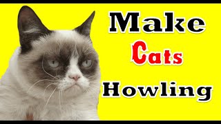 GUARANTEED Make Your Cats Howling  UNHAPPY SCREAM Angry Cats MEOW Sound Effects [upl. by Nevaeh787]