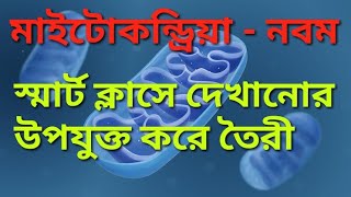 মাইটোকনড্রিয়ানবম শ্রেণী Structure and function of Mitochondria in Bengali [upl. by Gregg604]