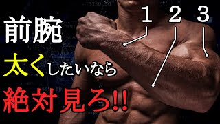 前腕をデカくしたいならこれをやれ！最強種目と前腕トレ法を科学的に徹底解説！ [upl. by Burrill553]