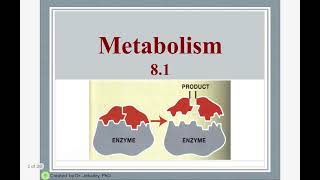 Topic 81 metabolism [upl. by Most]