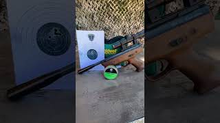 Weihrauch HW70 Black Arrow 10 Meter Sight In airgunsofarizona weihrauchhw70 [upl. by Tisman531]