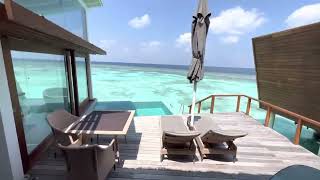 Maldives North Ari Atoll  Kandolhu Maldives  Ocean Pool Villa  90 sqm  room 205  room tour [upl. by Anhsirk]