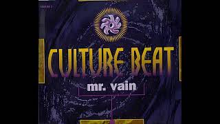 Culture Beat  Mr Vain  2024 Chicoree remake [upl. by Angadresma]