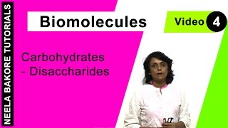 Biomolecules  NEET  Carbohydrates  Disaccharides  Neela Bakore Tutorials [upl. by Imis]