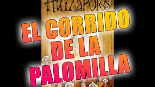 Los Huizapoles  El Corrido de la Palomilla [upl. by Elwee810]